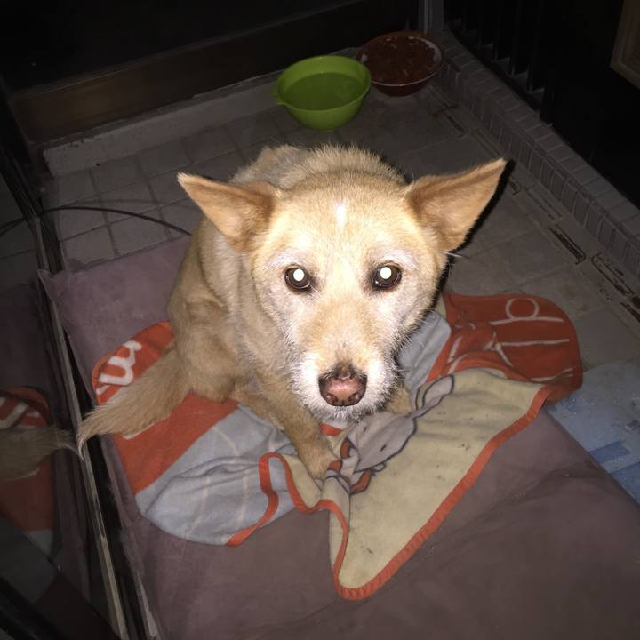 D75087a1 783c 4641 9875 5edd588b73d6