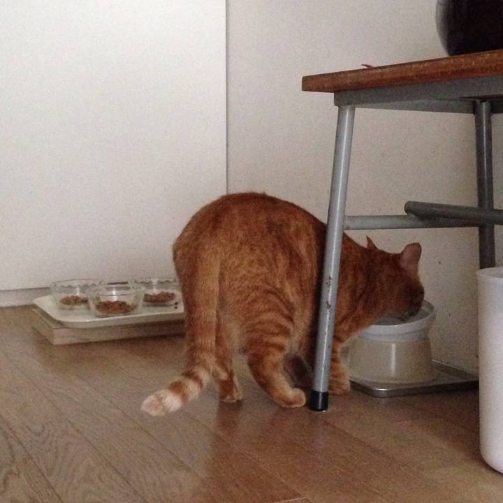 D75115ab 9fef 45f0 a1fd 856405574df3