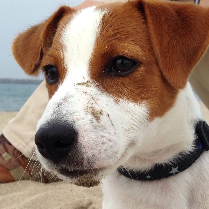 D7516dd0 3f8d 4e45 a63a 71d627625566