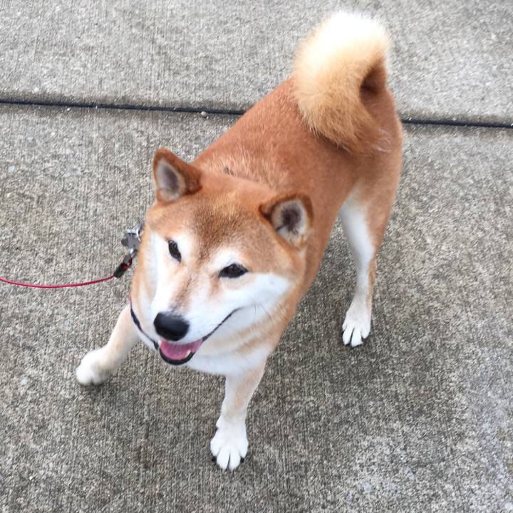 D751c38a fce3 4cba 9ba5 be7ce6948b27