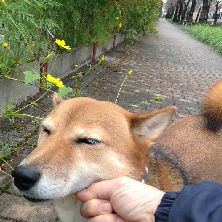 D751f75b 0de8 4daa 916f 9330662965f6