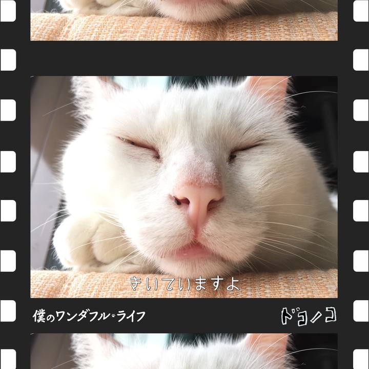 D752ba57 90d3 455e a932 e8ab0cc588f5
