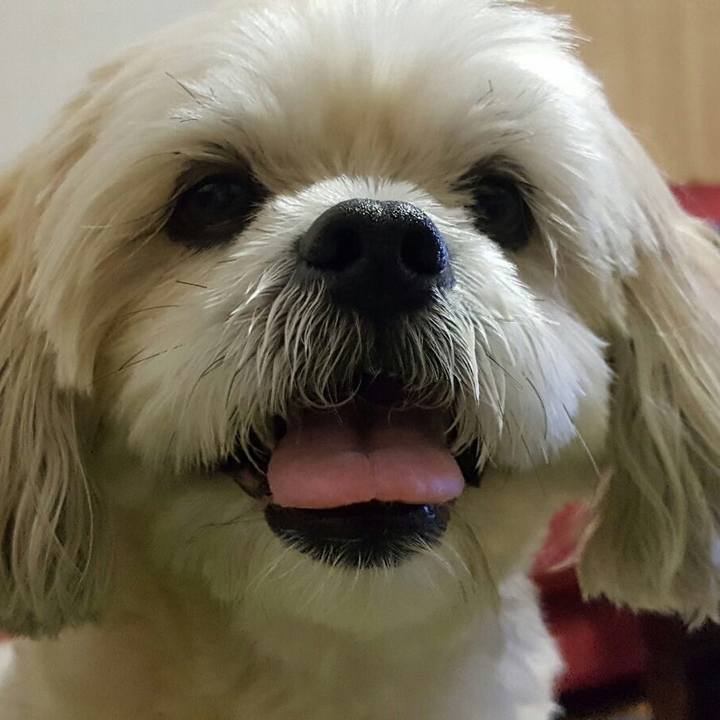 D7536d77 29e9 4d86 b434 a603322169b4