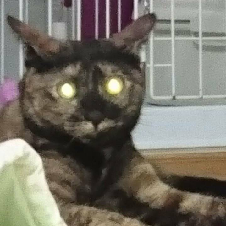 D753f703 3106 4632 8197 a5f0f912a85a