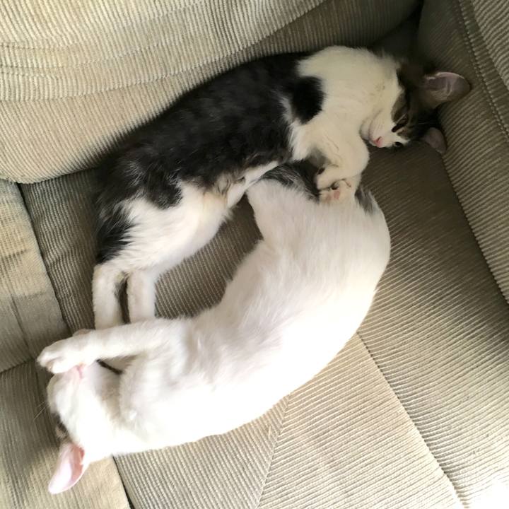 D754f92d dd0c 45db 889a 767f14228ea3