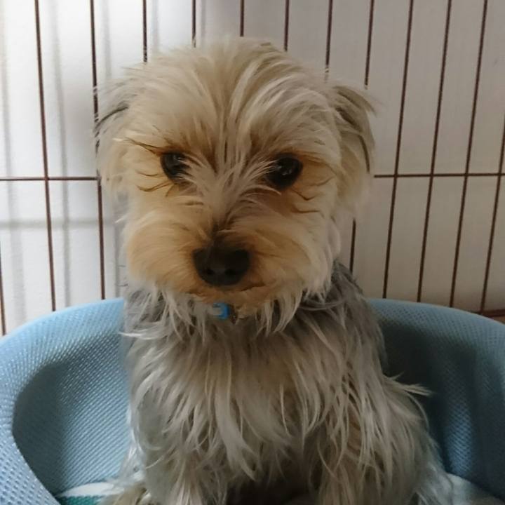 D75692b7 6f46 4e10 a9ee ff351ee8014d