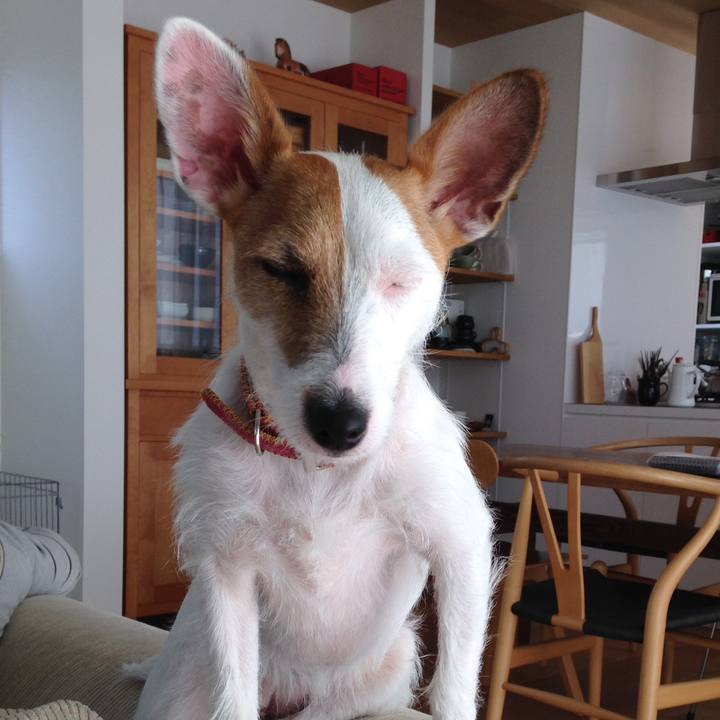 D7572c5c eef4 4917 8674 c8119d33c84e