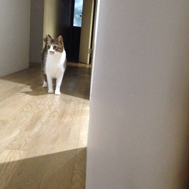 D75762f4 a287 4e39 bdbc 26bb7e9121c7