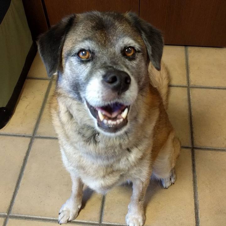 D75784d0 302d 435b 9b72 83e1bd6ca51f