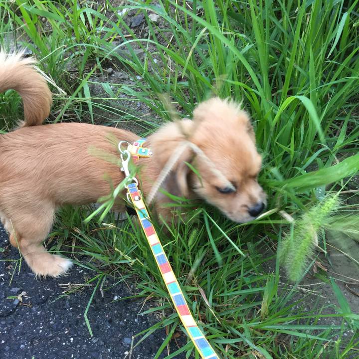 D757dbd8 2bbe 4437 a0d3 625e5863f9bb