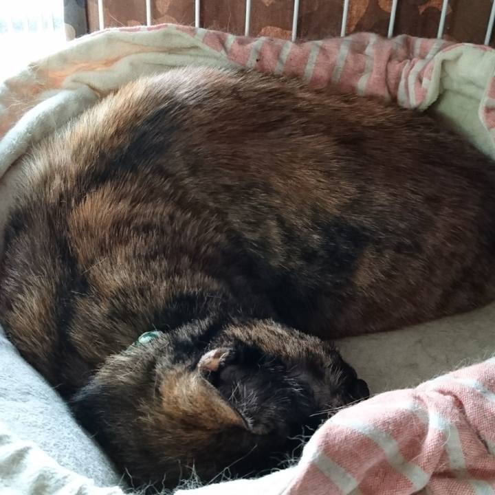 D75860a9 6a36 43de 8c75 8524fa2b82fa