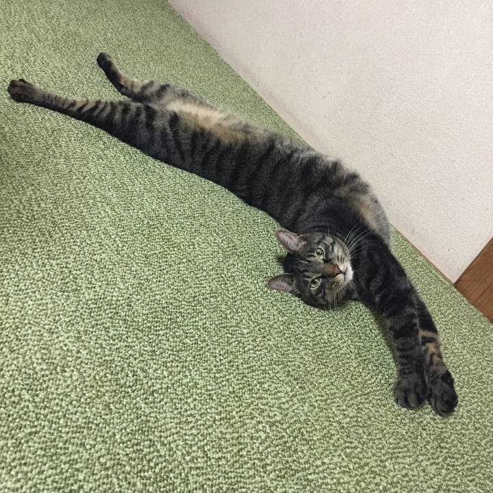 D758afd7 d3e9 4de6 bc56 fa5d099d42e2