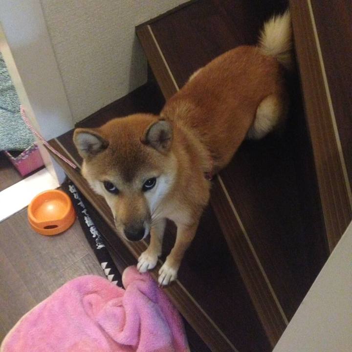 D75975c2 bcec 4742 98f8 2bf530f0d56f