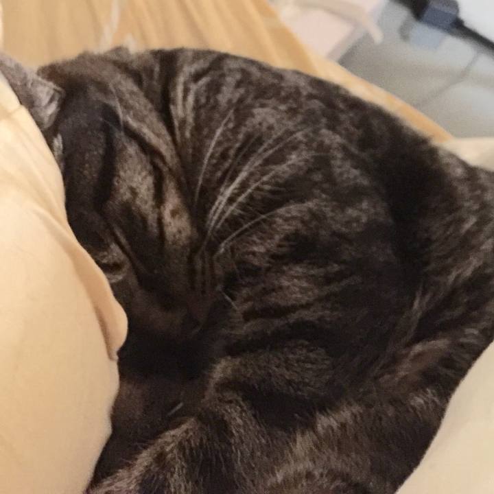 D7597c1b fdc6 41bd 8e23 d61a0c93d8a7