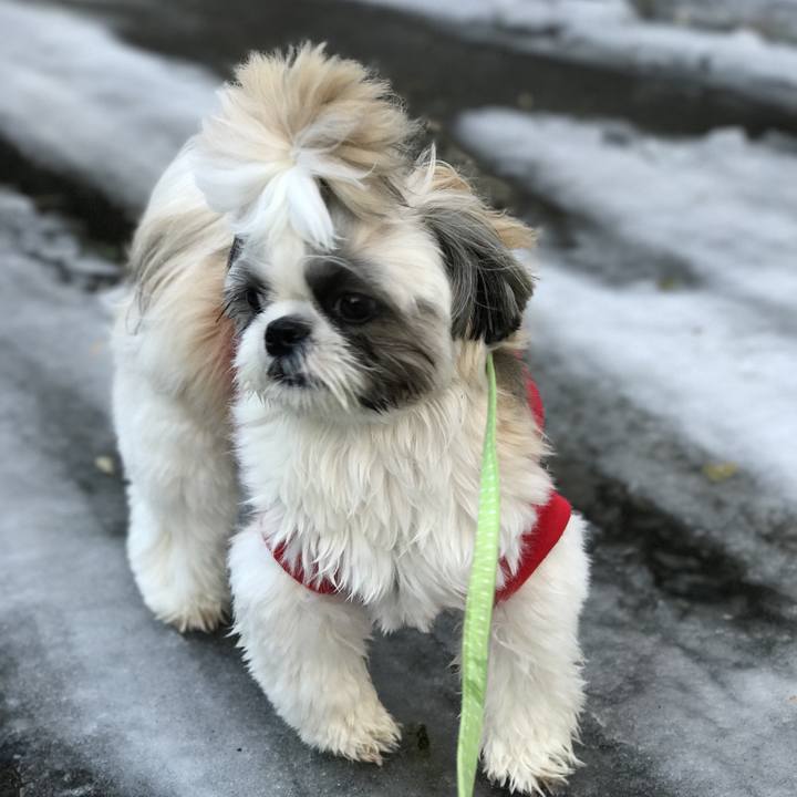 D75a8bf6 c03e 4e8c 9aef 92159532e615