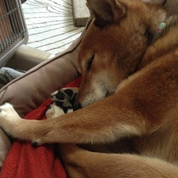 D75afc76 69c7 4797 85fb e7cc78d374cf