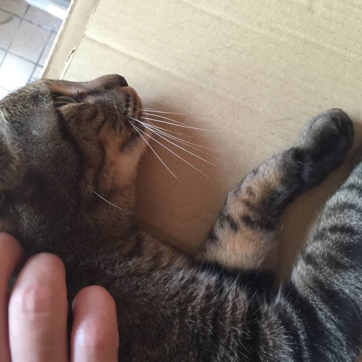 D75b32b4 a27d 4a2c be21 7c04ed9a0a21