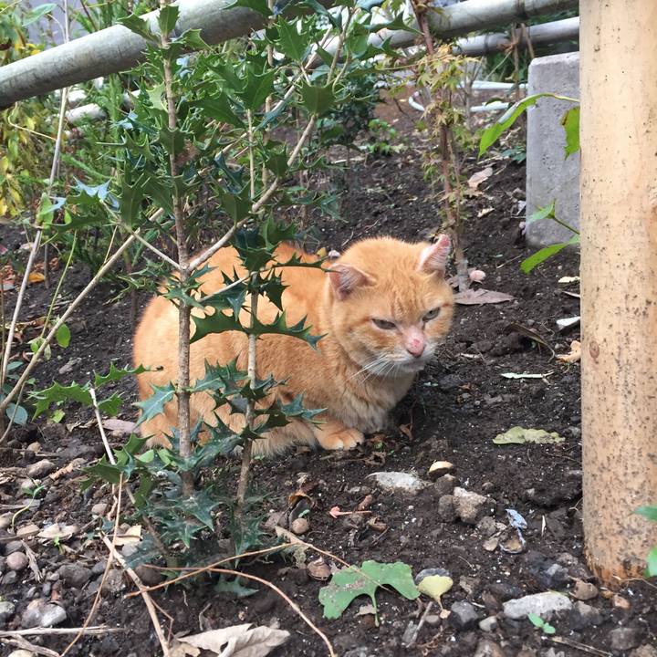 D75bc4a5 5654 4111 9884 210efc22a414