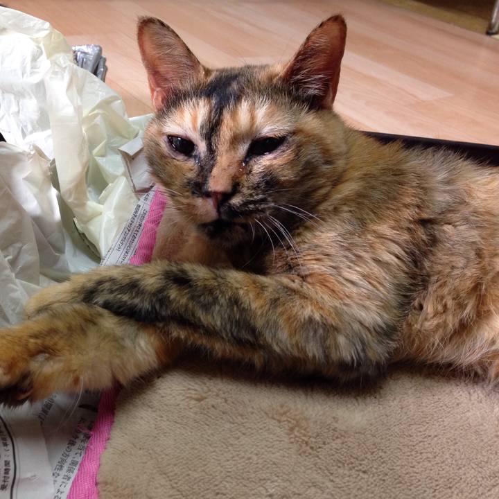 D75c8090 5428 4ec8 a80f 9bd54e2a20eb