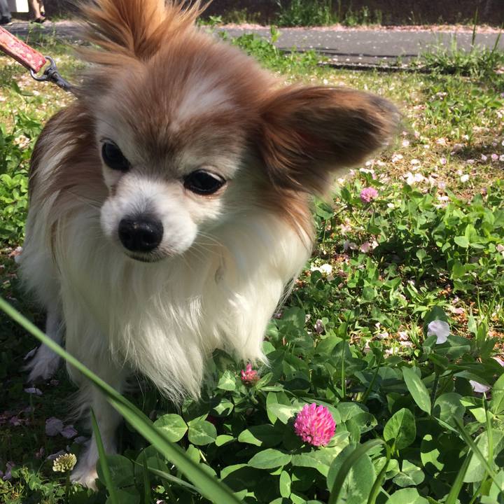 D75d2281 6e5c 42e3 8231 a9c724092513