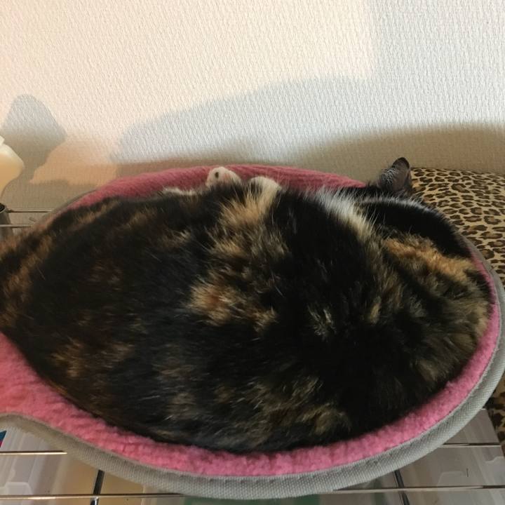 D75d502d abd1 44b2 8a48 ecea3f17b15a