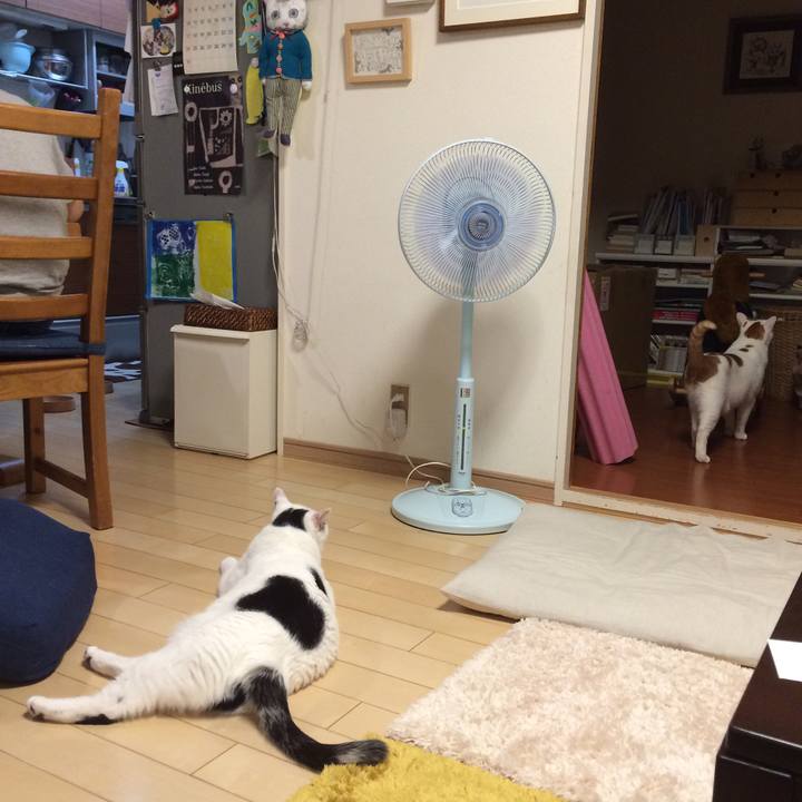 D75eaf47 8e11 4e32 8d29 44bfd4e2a492