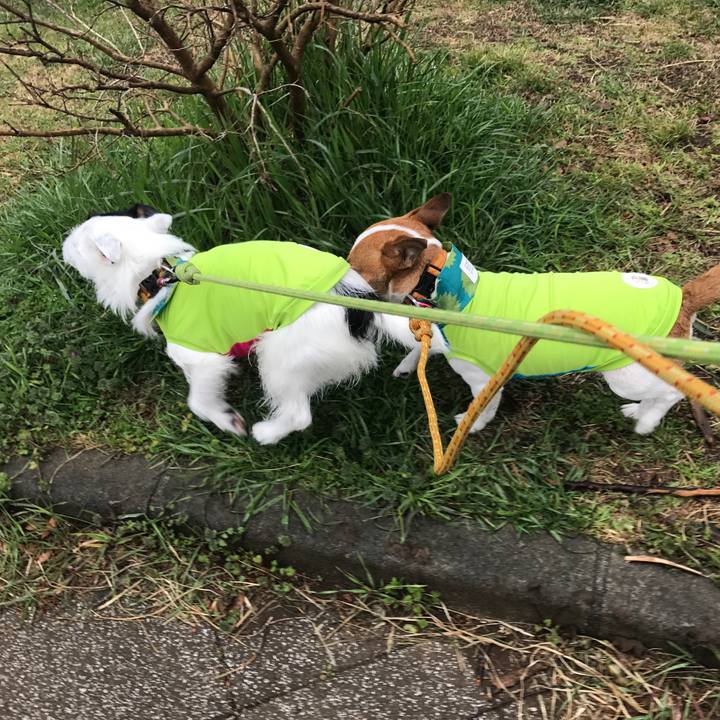 D75f263c 0975 434d 8545 1fc523bd6d80