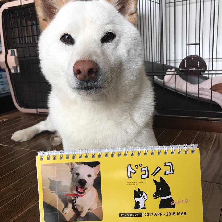 D75f34e7 7cc2 4458 8869 6e7dbf377b0b