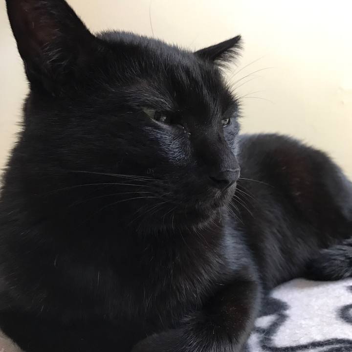 D75f6138 72ff 4068 a52b 4201e76c543d