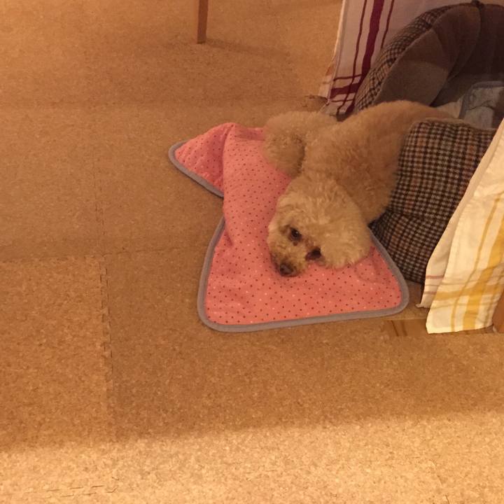 D75f875b b9d2 4090 91b0 f38517e1999a