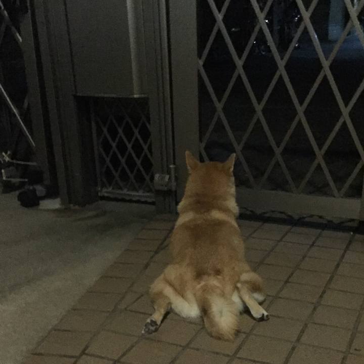 D76010e1 eb88 4197 bee8 79317ae654e1