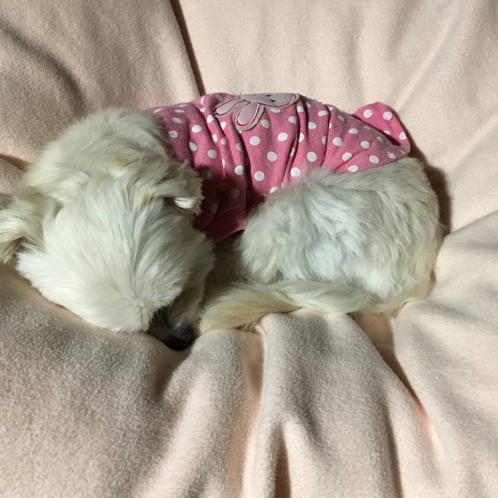 D76045c6 682f 44fe 9b6b af43c996c840