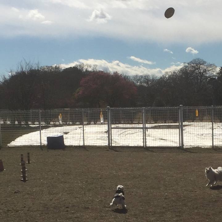 D7605001 0484 4608 88ef 15df1a6b4932