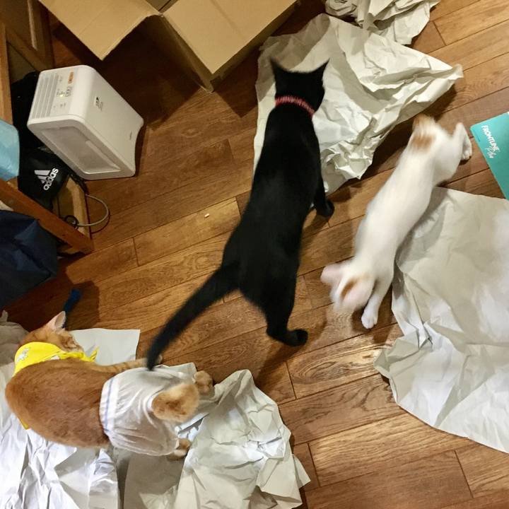 D760d23d 9161 4581 b2c5 10dbac4a0264