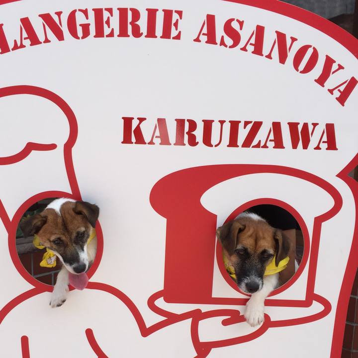 D7610c43 5c8b 4d61 9840 849062281098