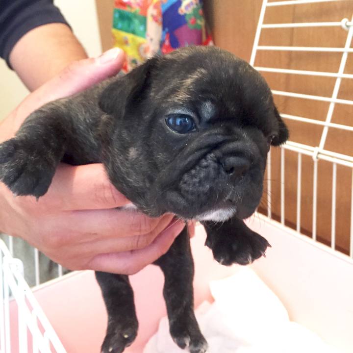 D7614d66 b85e 420c 8591 dbc5149d0ee1