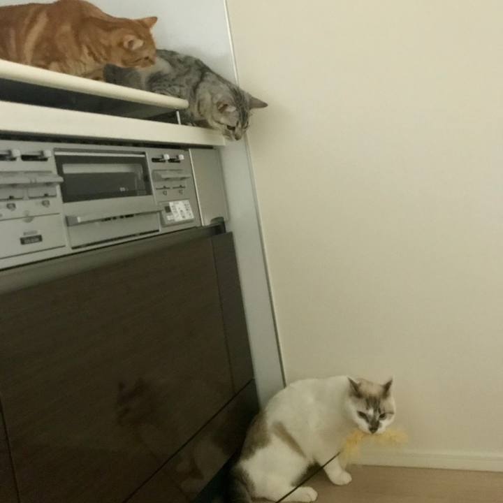 D7617f9b ae04 4099 a704 f9800fc279b4