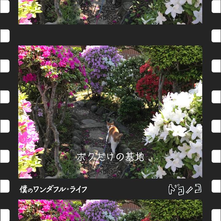 D761ad1c 02d6 4333 a807 395aa875da7a