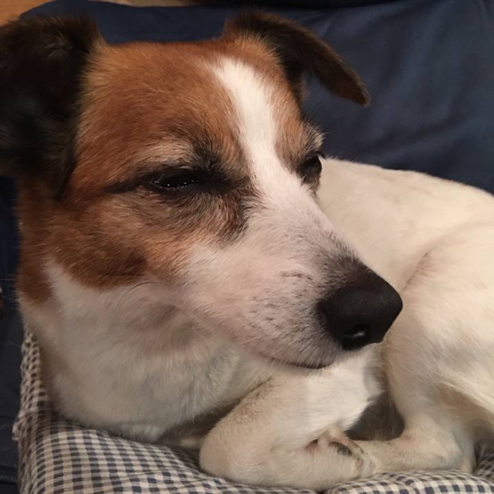 D761d40b 0861 483b ae3b e205f81a8689