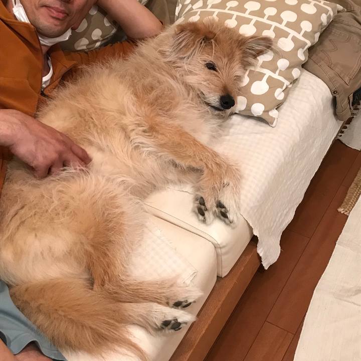 D761efcd c014 4f6b a5cc 27b8e05e32da