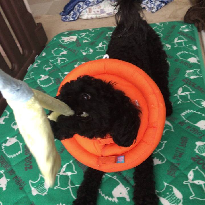 D761f378 e5e1 4b94 8d0c 7ad205f2d1d5