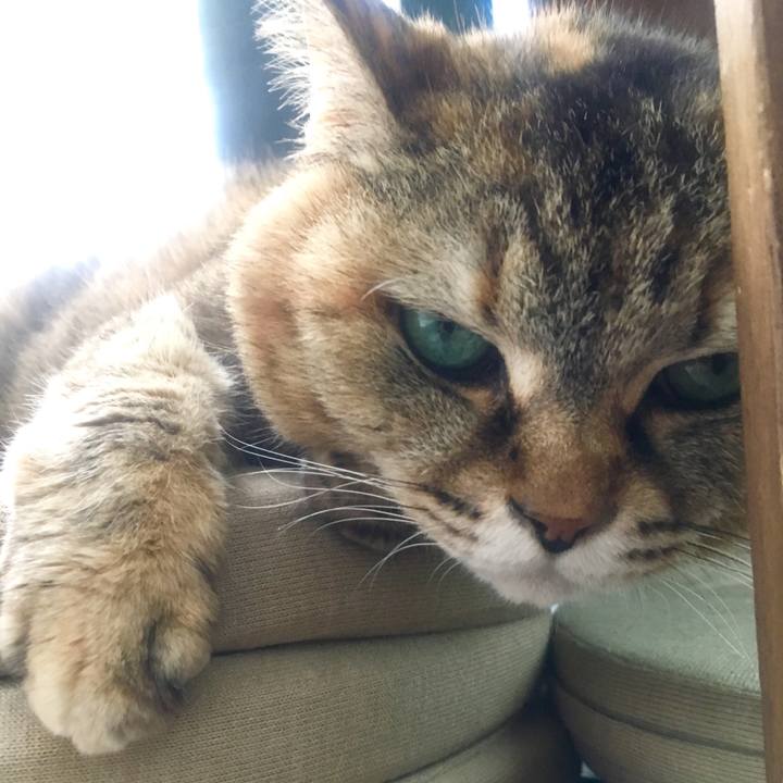 D7628550 19b1 49d2 afa3 d36720b58377