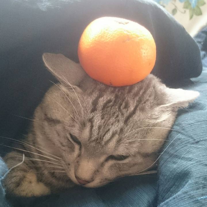 D763c6ea 1e72 4370 87be 6797daf98466