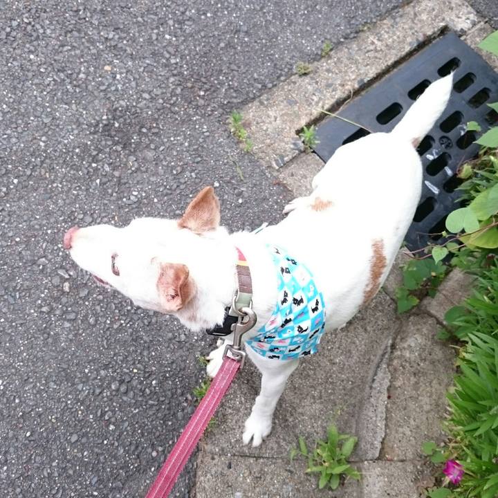 D763cc5f b621 4466 a154 0c64e7fcf26f