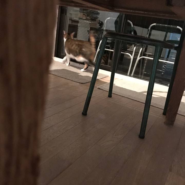 D7644b27 d2b7 428f b3c1 322bb247fbf4