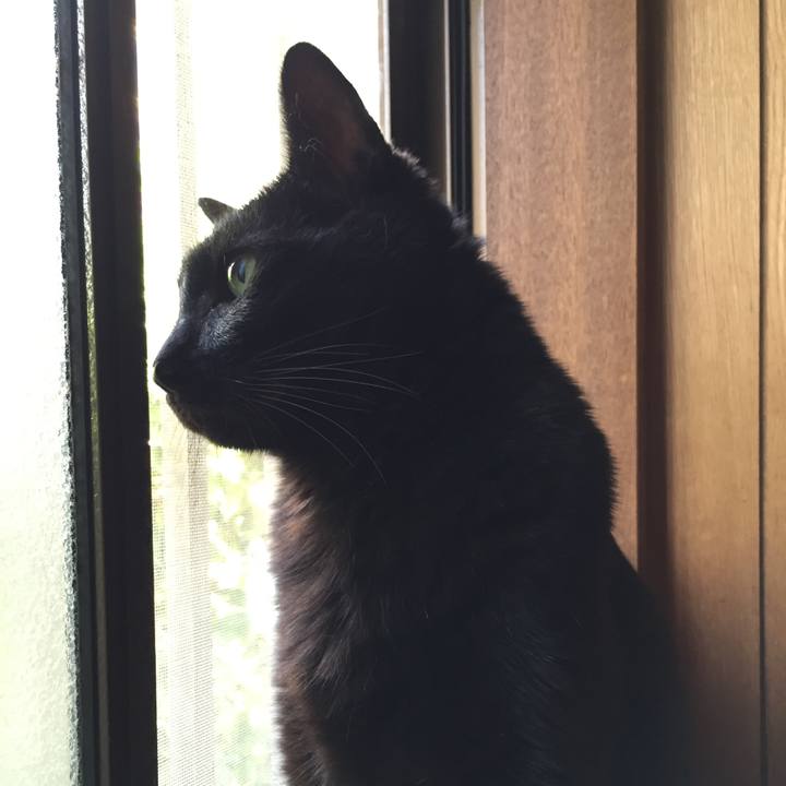 D7652bdd 43d7 42de b1a6 e80451b0d078