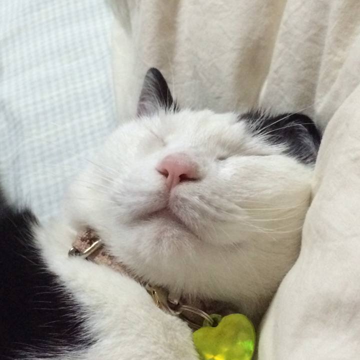 D7655359 bece 4216 9b82 8ef754039f0f