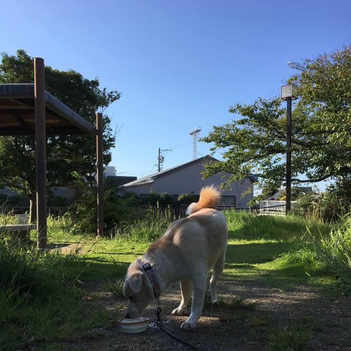 D765c8a8 ea7f 4043 a284 914f06dcda09