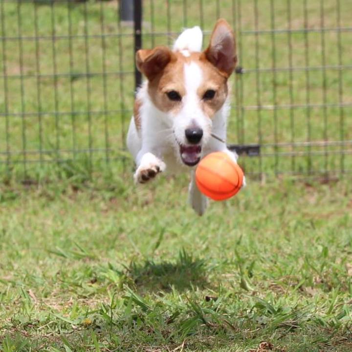 D7660e91 697d 4d8d 8702 257fdff3dc69