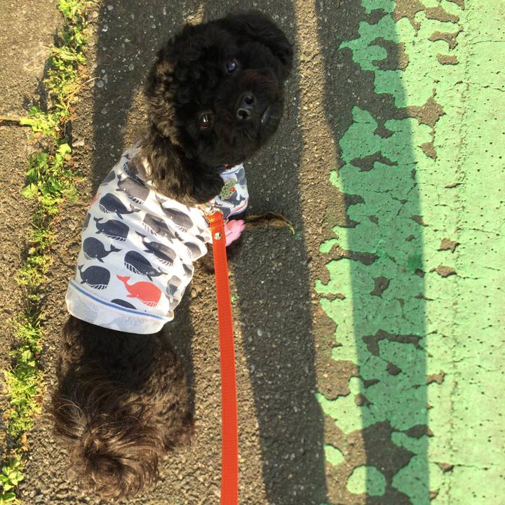 D76632c7 2cc2 4493 b5dc 6ffae55b5747